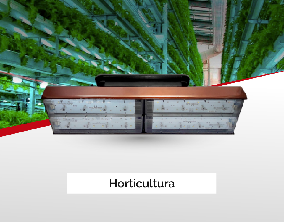 lineas_vic_Led